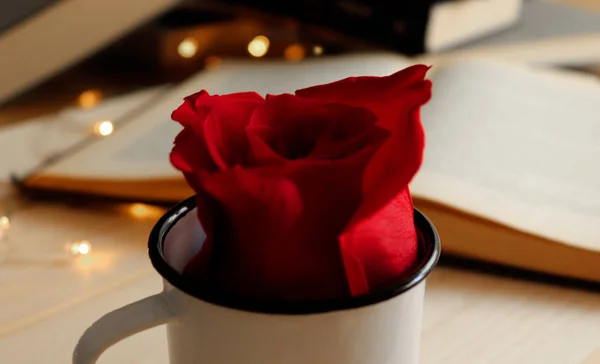 Rosa Roja Una Taza Con Luces Doradas Libro Fondo — Foto de Stock