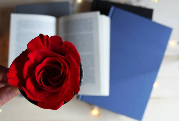 Vordergrund Stand Eine Rote Rose Hintergrund Ein Offenes Buch Und — Stockfoto