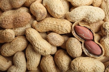 Birçok kabuklu fıstık