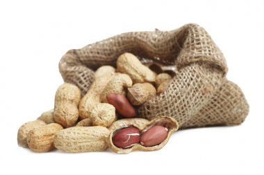 Fıstık kabuğu bir çanta içinde 