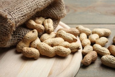 Fıstık çanta dışarı dökülür