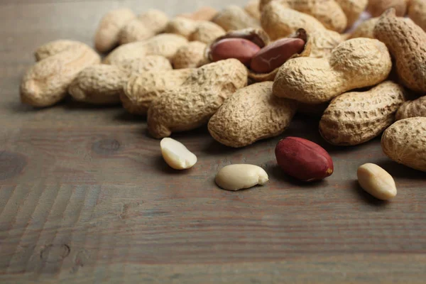 Bir kabuklu fıstık