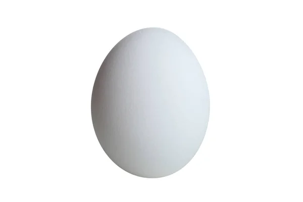 Одне біле яйце — стокове фото