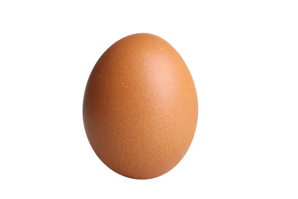 Et brunt æg - Stock-foto