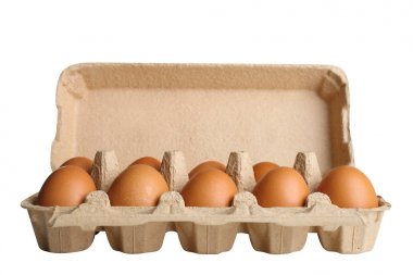 Sarı tavuk yumurtası