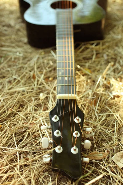 在干燥的草地上的黑色吉他 — 图库照片