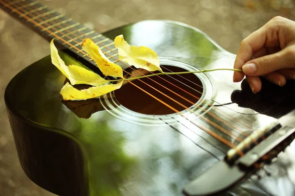 Осінній лист на гітарі — стокове фото