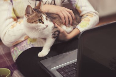 kedi kız kucağına oturur 