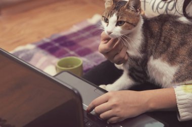 kedi kız kucağına oturur 