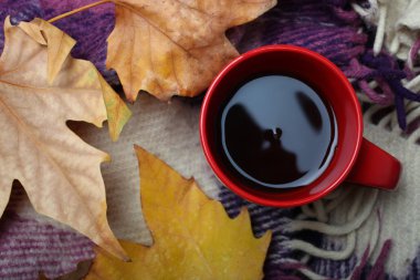 Çay ve sıcak bir battaniye