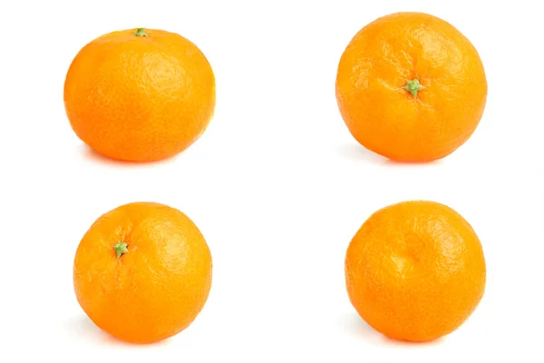 Bir mandarin kolaj — Stok fotoğraf