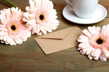 Üç güzel gerbera çiçekleri 