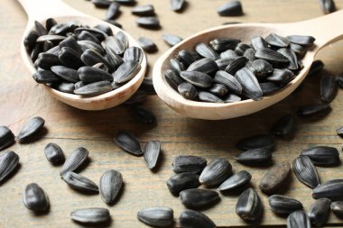 ayçiçeği tohumu yığını.