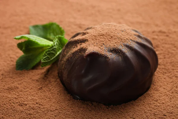 Один зефір у шоколаді та м'яті — стокове фото