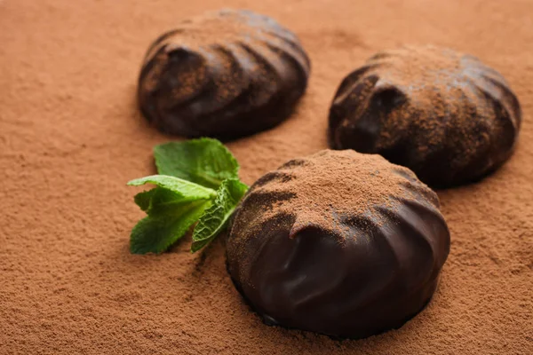 Три зефіру в шоколаді та м'яті — стокове фото