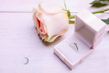 Pembe melez çay gülü, pembe arka planda hediye kutusunda yüzük var..