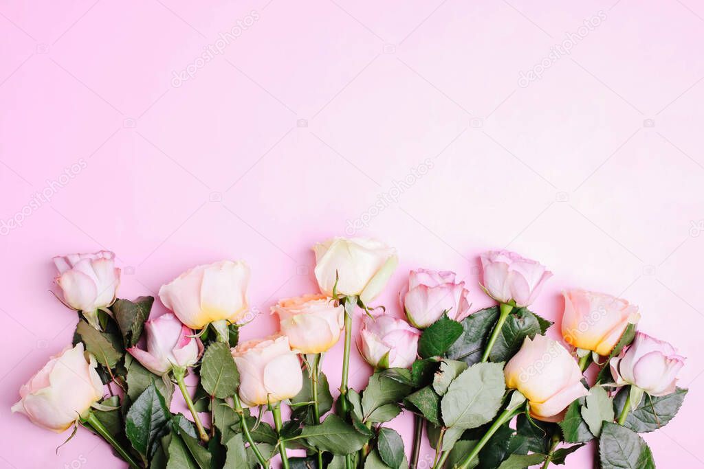 A bouquet of hybrid tea roses and floribunda on a pink background.