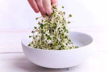 Beyaz arkaplanda turp yeşili..