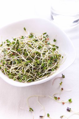 Beyaz arkaplanda turp yeşili..