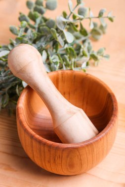 Tahta bir havan topu ve tahta bir arka planda okaliptüs dalı..