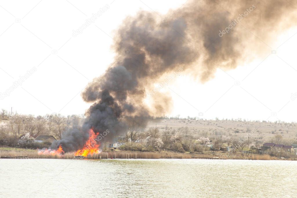 Fire from burning dry reeds in the countryside. Environmental damage