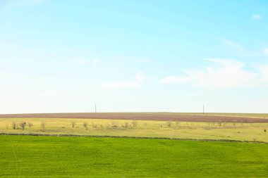 Mavi gökyüzüne karşı yeşil alan. Tarım endüstrisi.