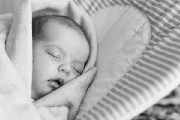 Hamak sandalyesinde battaniyeye sarılı uyuyan yeni doğmuş bebek. Tatlı rüyalar konsepti — Stok fotoğraf