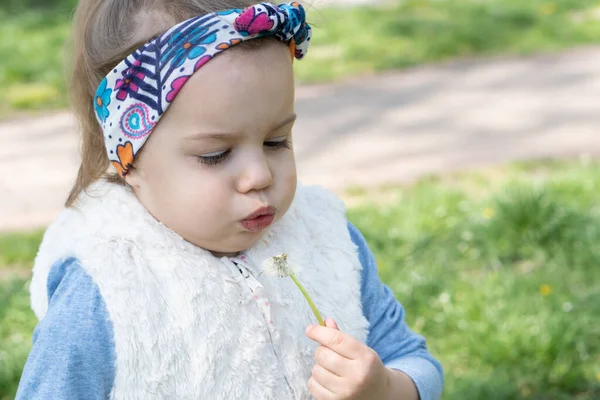 Mooi klein meisje dat paardenbloem blaast. Schattig meisje op de weide — Stockfoto