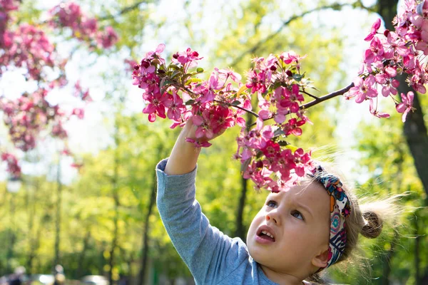 Mooi klein meisje met hoofdband in het voorjaar in het park. Close-up zicht op het schattige meisje reikt naar de bloem van de bomen. Tijd buiten doorbrengen — Stockfoto