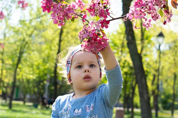 Mooi klein meisje met hoofdband in het voorjaar in het park. Close-up zicht op het schattige meisje reikt naar de bloem van de bomen. Tijd buiten doorbrengen — Stockfoto