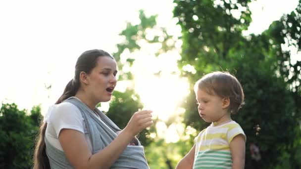 Family, children, motherhood, entertainment and people concept - young cute mother of many children with her baby in sling blow dandelion with little son on background of the sunset in the park. — Stock Video
