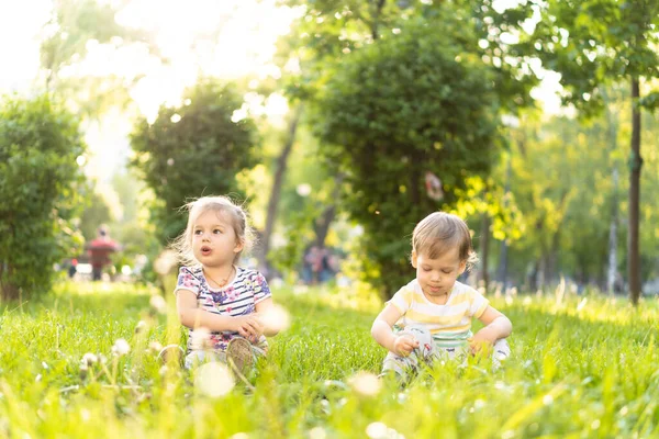 Jeugd, zomer en vrije tijd concept - twee schattige gelukkige baby 's van Ierse tweeling jongen en meisje zitten in helder gras met paardebloemen in de achtergrond van een zonsondergang in het park. — Stockfoto
