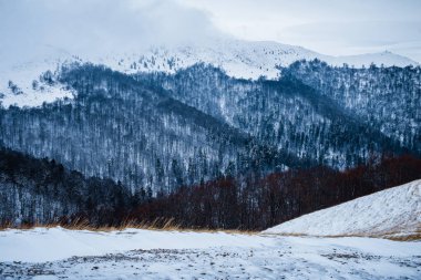 Kış dağlar karla kaplı dağlar kış manzara kış gün kış mesafe kış sabah ağaçları kış dağlarında