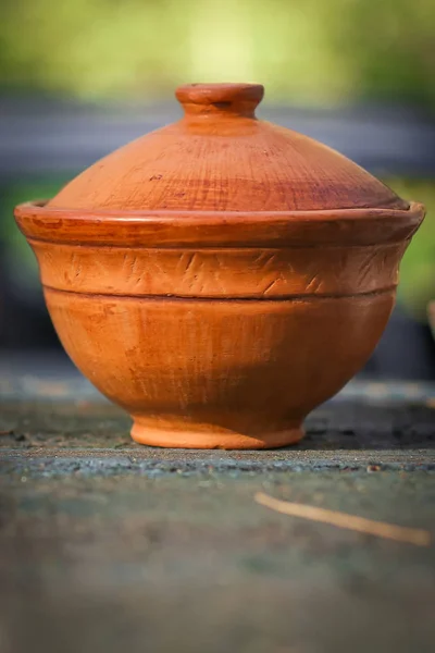 Çay demlemek için turuncu kil gaiwan. Doğanın arka planında çay fotografı.