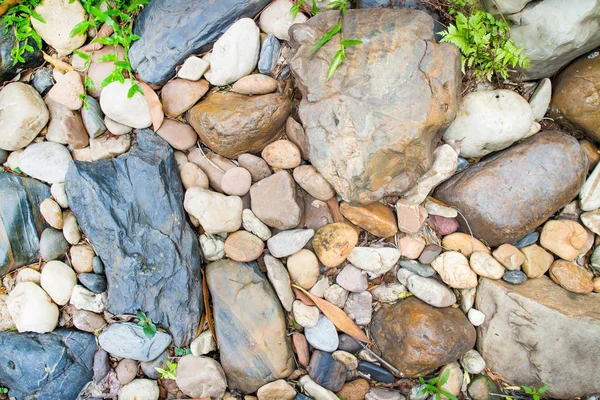 Through granite stones boulders the green grass simply grows. Fo