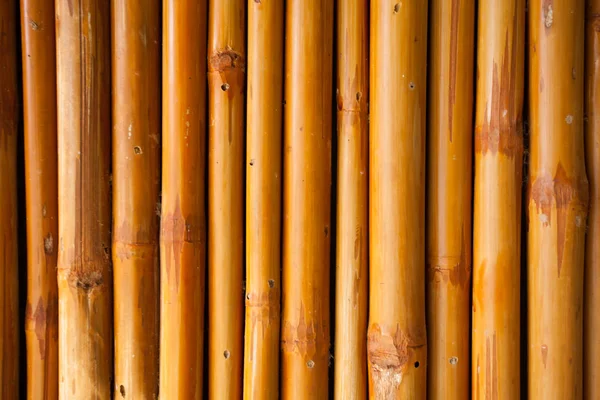 Cerca de bambu ou parede textura fundo para interior ou exterior — Fotografia de Stock