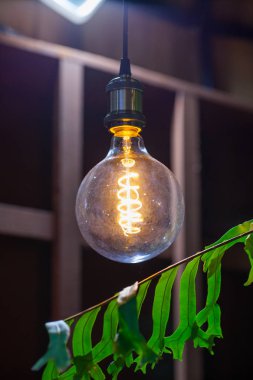 Arka plan ağaç ile akkor lambalar. Edison lambası.