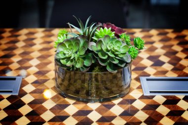 Küçük güzel ağaç Cam masaya süsleyin