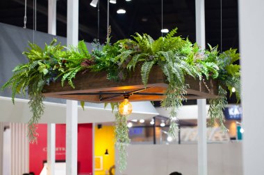 Arka plan ağaç ile akkor lambalar. Edison lambası.