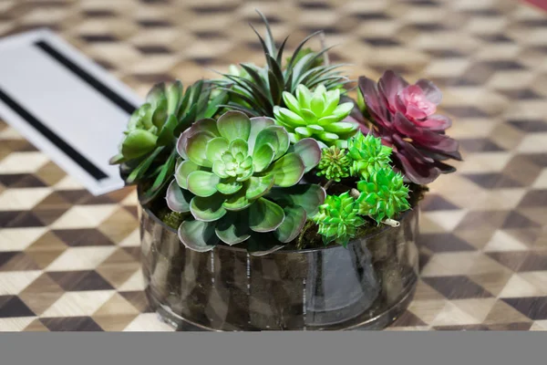 Küçük güzel ağaç Cam masaya süsleyin