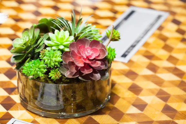 Küçük güzel ağaç Cam masaya süsleyin