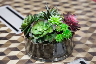 Küçük güzel ağaç Cam masaya süsleyin