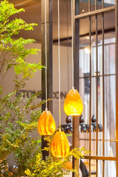 Güzel avize. lüks pahalı avize altında asılı 