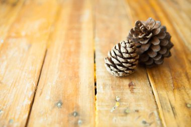 Çam kozalakları ahşap adam üzerinde