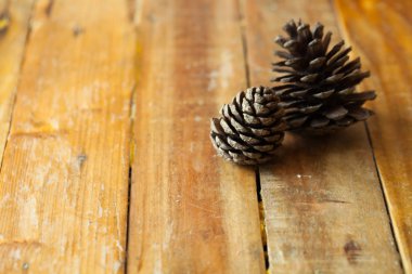 Çam kozalakları ahşap adam üzerinde