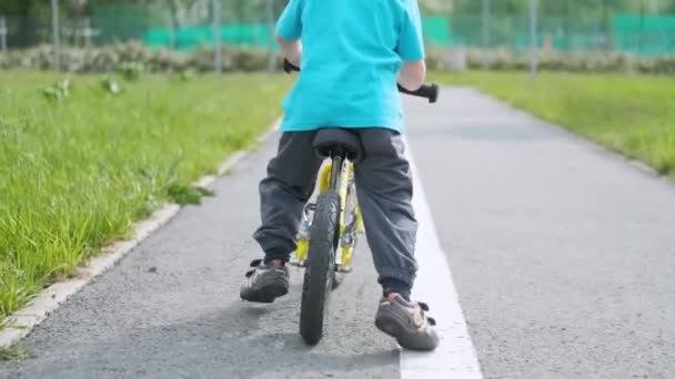 小さな男の子は自転車に乗ることを学び — ストック動画