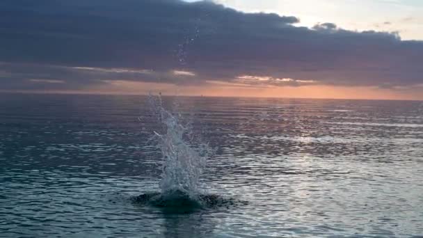 Pedra Cai Água Câmara Lenta Água Espirra Belo Pôr Sol — Vídeo de Stock