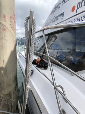 Köpek yolcu olarak güvertede can yeleğiyle dinleniyor.