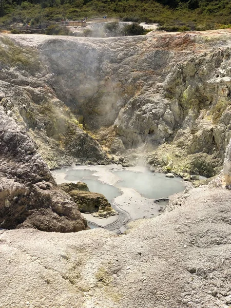 ニュージーランドの北の島 ロトルアのワイオタプにある温泉の蒸気 — ストック写真