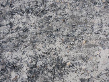 Doku ve arkaplan: yanmış ahşaptan kül ve kül